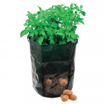 Potato Planting Bag - 360 x 510mm